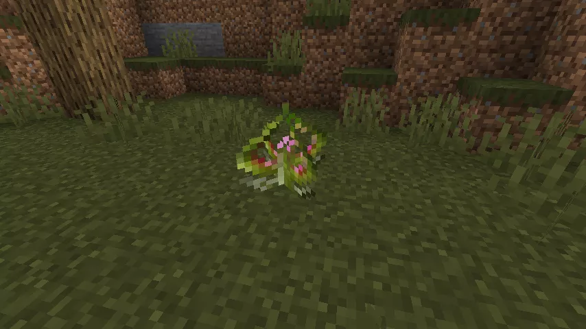 【サラセニア】あーしのサラセニア大人気じゃん！！【つむぎ×ずんだもん】