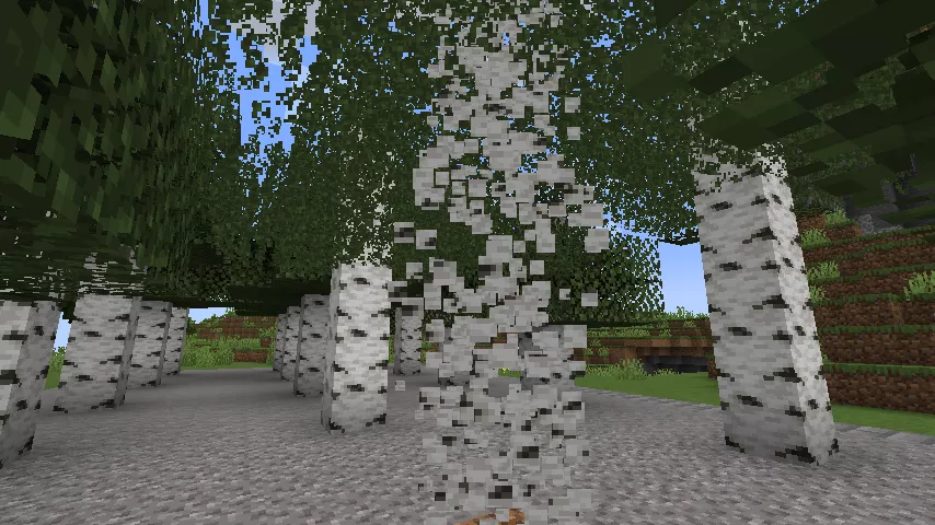 植林場に植えられた1本の白樺が粉々になる様子